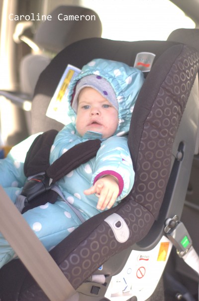 grier carseat
